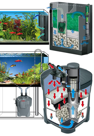 Разновидности фильтров для аквариума Разновидности фильтров для аквариума