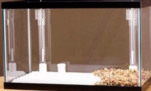 Очистка воды в аквариуме (фильтры) Очистка воды в аквариуме (фильтры)