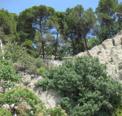 Создание альпийской горки своими руками Создание альпийской горки своими руками