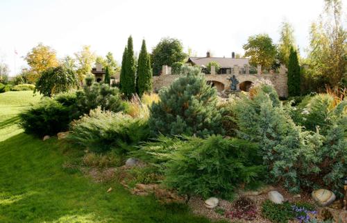 Создание альпийской горки своими руками Создание альпийской горки своими руками