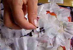 Букеты и композиции из цветов своими руками Букеты и композиции из цветов своими руками