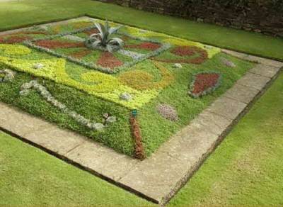 Клумба Клумба