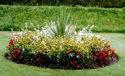 Клумба Клумба