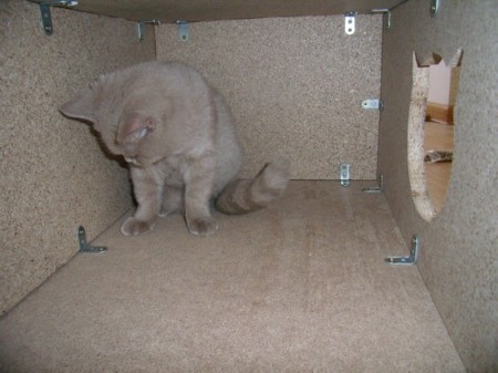 Дом для кошки своими руками Дом для кошки своими руками