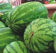 Сорта арбузов с фото Сорта арбузов с фото