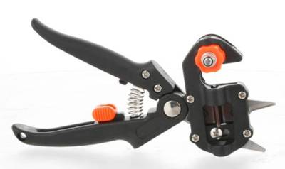 Как привить плодовое дерево Как привить плодовое дерево