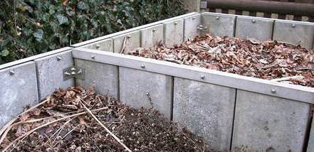 Выращивание вешенки и шампиньонов в домашних условиях Выращивание вешенки и шампиньонов в домашних условиях