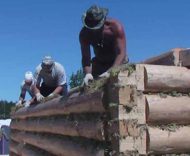 Межвенцовый утеплитель для дома из бруса и бревен Межвенцовый утеплитель для дома из бруса и бревен
