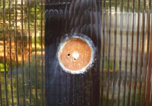 Душ из поликарбоната своими руками Душ из поликарбоната своими руками